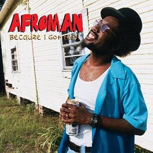 Afroman - 'Because I Got High'