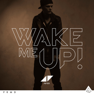 Avicii - 'Wake Me Up'