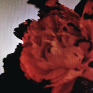 John Legend - 'All Of Me'