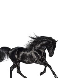Lil Nas X - 'Old Town Road'