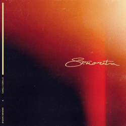 Shawn Mendes and Camila Cabello - 'Señorita'